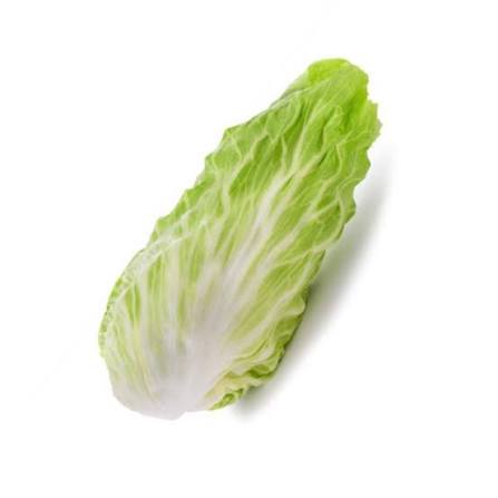 RADICCHIO MILANO