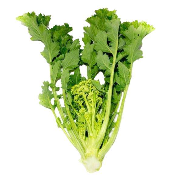 CIME DI RAPA