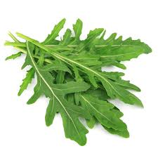 Rucola