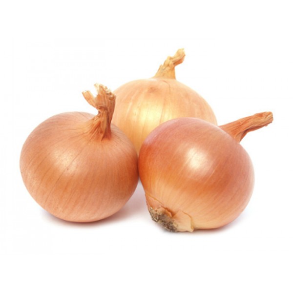 CIPOLLE