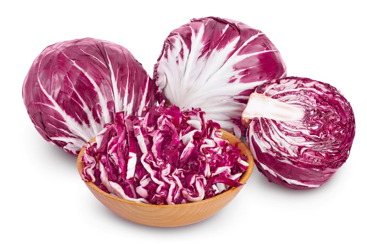 Radicchio Chioggia