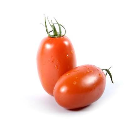 POMODORO OVETTO