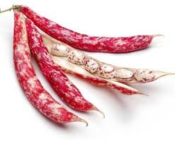 FAGIOLI BORLOTTI