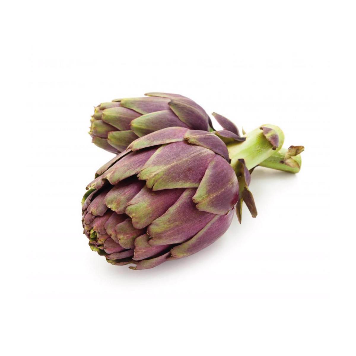 CARCIOFI