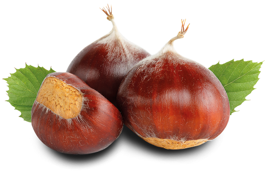 CASTAGNE