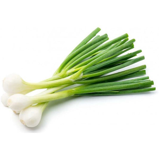 CIPOLLOTTI
