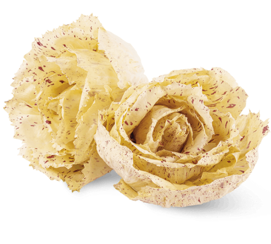 Radicchio variegato
